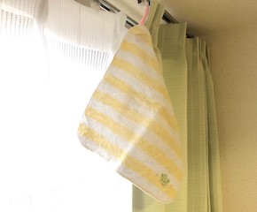 すぐにできる★ウイルス対策のアロマ