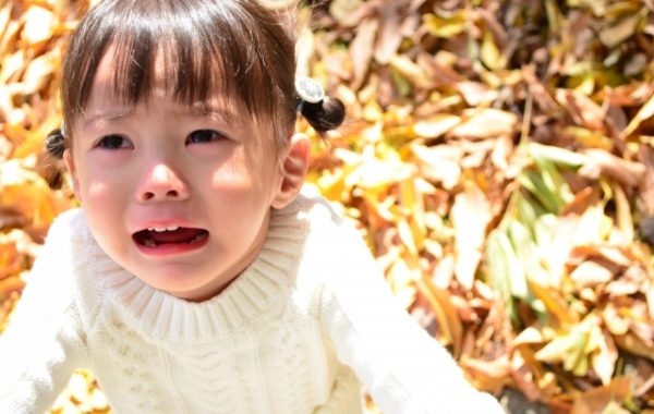 イヤイヤ期の子ども